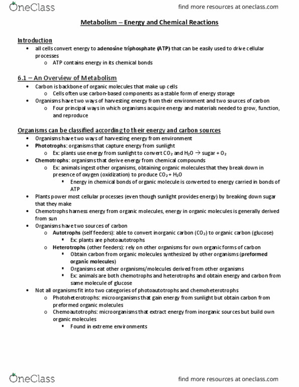 BIOL 112 Lecture Notes - Lecture 7: Positio, Adenine, Chemical Energy thumbnail