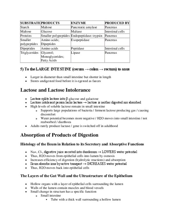 BIOL 2P05 Lecture Notes - Exopeptidase, Histology, Lipase thumbnail