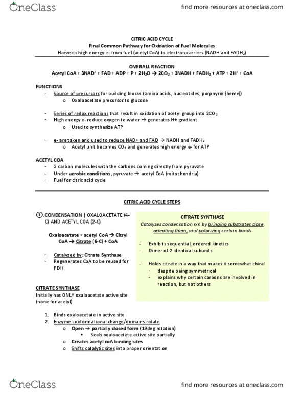 BCM 475 Chapter Notes - Chapter 17: Acetyl-Coa, Thioester, Oxaloacetic Acid thumbnail