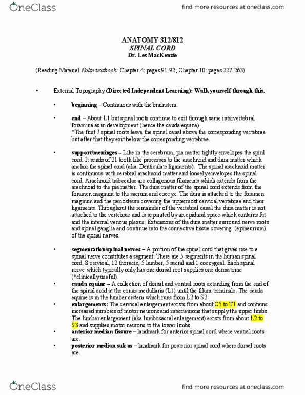 ANAT 312 Lecture Notes - Lecture 7: Substantia Gelatinosa Of Rolando, Dorsal Root Ganglion, Alpha Motor Neuron thumbnail