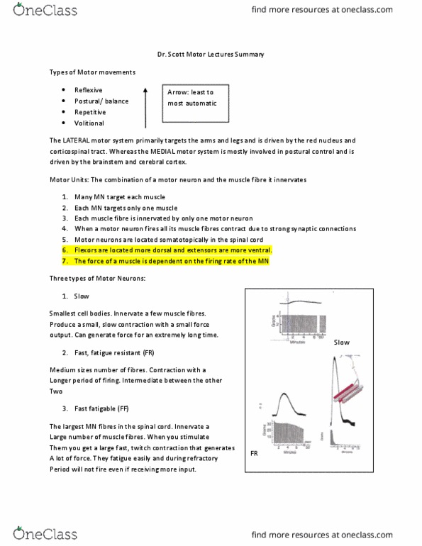 ANAT 312 Lecture Notes - Lecture 1: Myocyte, Motor Neuron, Motor System thumbnail