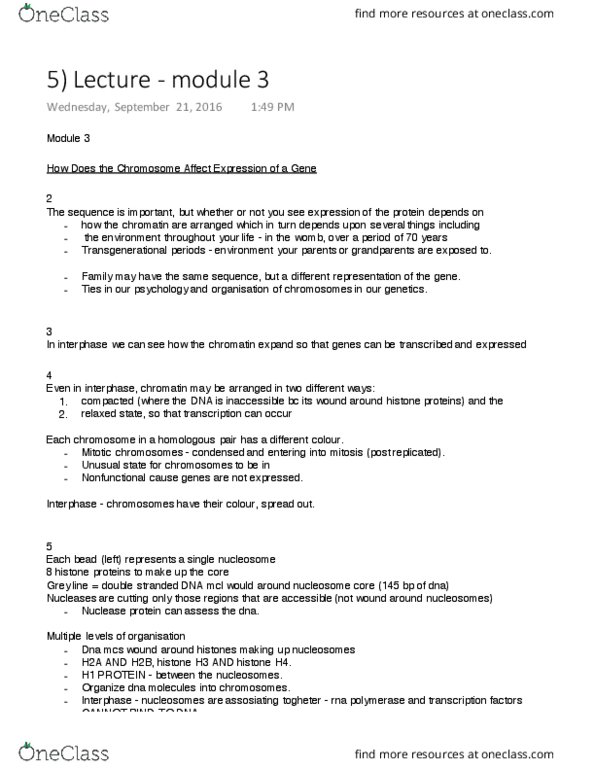 BIOLOGY 2C03 Lecture 5: 5) Lecture - module 3 thumbnail