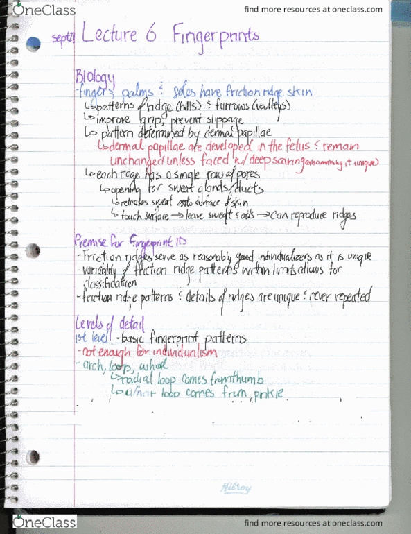 document preview image