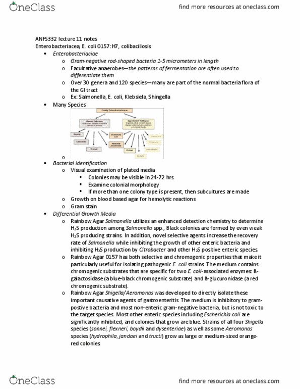ANFS332 Lecture Notes - Lecture 11: Enterotoxigenic Escherichia Coli, Hospital-Acquired Pneumonia, Chromogenic thumbnail