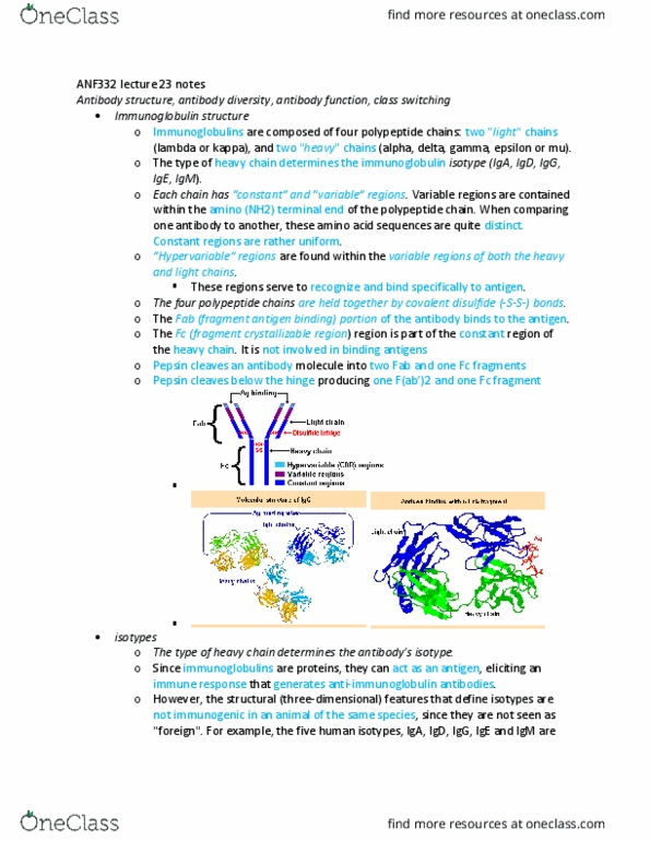 ANFS332 Lecture Notes - Lecture 23: Immunoglobulin Heavy Chain, Fragment Crystallizable Region, Fragment Antigen-Binding thumbnail
