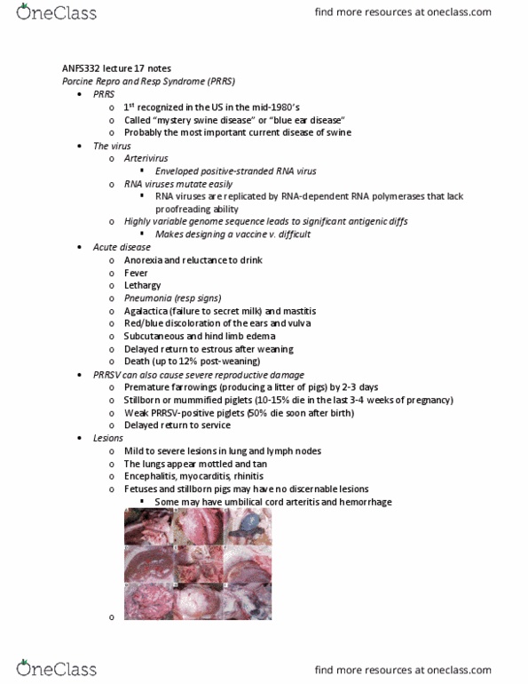 ANFS332 Lecture Notes - Lecture 17: Pulmonary Edema, Rna Virus, Herd Immunity thumbnail
