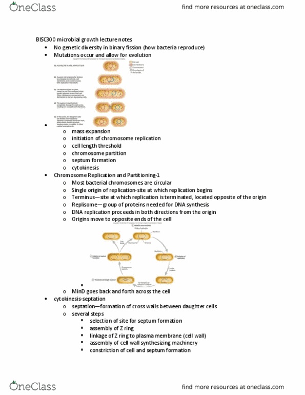 BISC300 Lecture Notes - Lecture 1: Dna Replication, Mreb, Cell Wall thumbnail