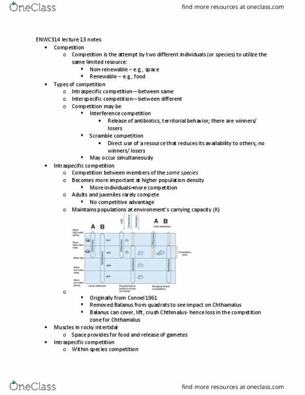 ENWC314 Lecture Notes - Lecture 13: Interspecific Competition, Bumblebee, Intraspecific Competition thumbnail