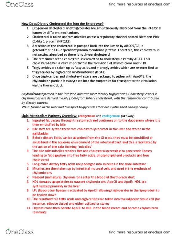 BPS 334 Lecture Notes - Lecture 34: Microsomal Triglyceride Transfer Protein, Cholesteryl Ester, Lipoprotein Lipase thumbnail