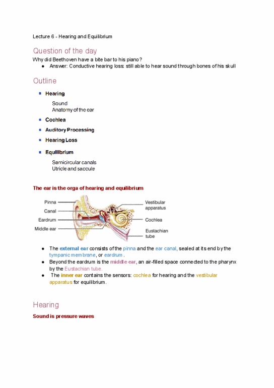 PSL300H1 Lecture Notes - Lecture 6: Cochlear Duct, Vestibular Duct, Tympanic Duct thumbnail