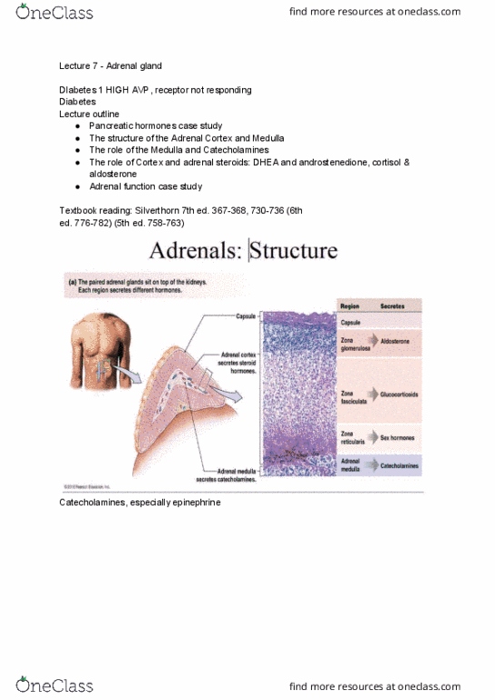 PSL300H1 Lecture Notes - Lecture 7: Androstenedione, Vasodilation, Cell Membrane thumbnail