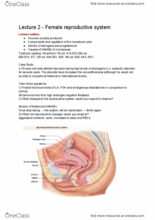 PSL300H1 Lecture Notes - Lecture 2: Female Reproductive System, Granulosa Cell, Follicular Phase thumbnail