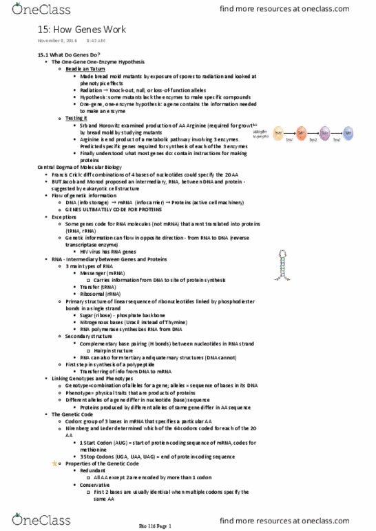 BIOL 116 Lecture Notes - Lecture 19: Francis Crick, Srb, Arginine thumbnail