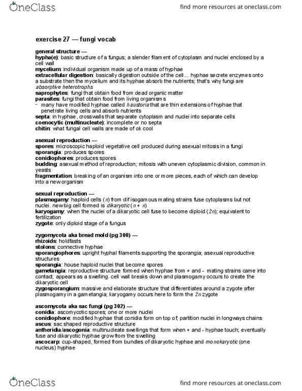 BIO 1106 Lecture Notes - Lecture 3: Isogamy, Dikaryon, Hypha thumbnail