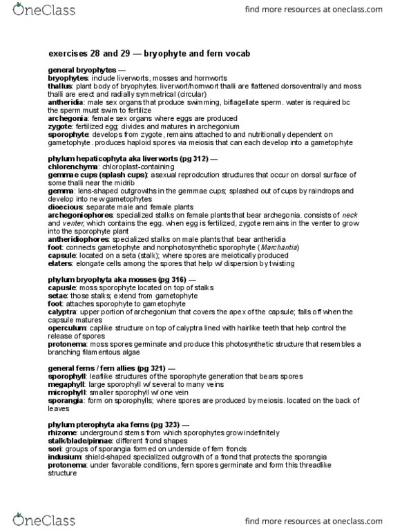 BIO 1106 Lecture Notes - Lecture 4: Archegonium, Marchantia, Marchantiophyta thumbnail