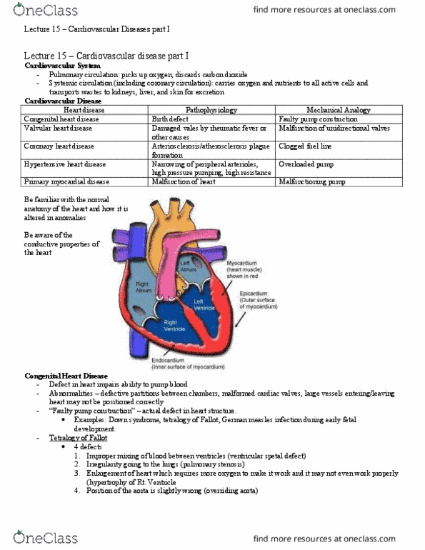 HSS 3305 Lecture Notes - Lecture 15: Bicuspid Aortic Valve, Aortic Stenosis, Valvular Heart Disease thumbnail