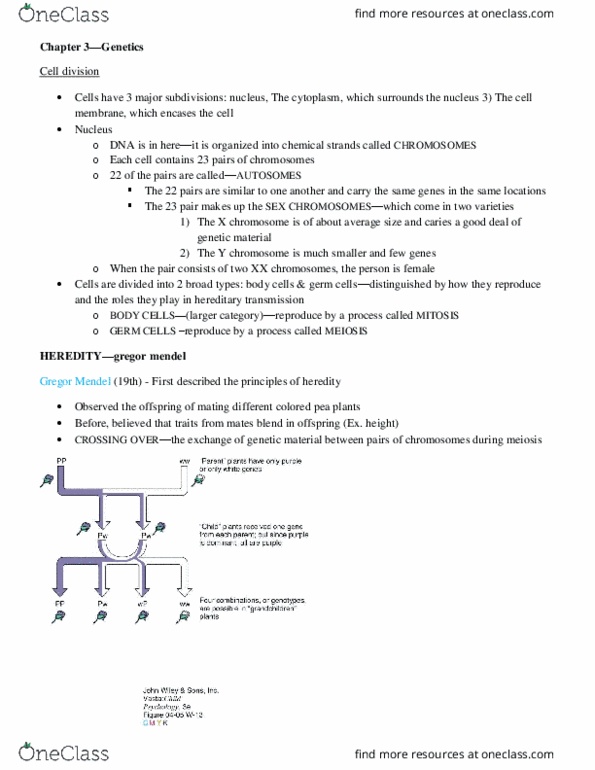 PSYC 2110 Chapter Notes - Chapter 3: Nucleic Acid Double Helix, Y Chromosome, Sickle-Cell Disease thumbnail