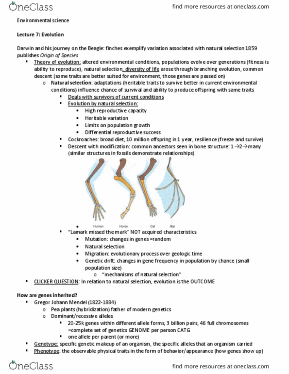 GEV 1050 Lecture Notes - Lecture 7: Cladogenesis, Genetic Drift, Genetic Variation thumbnail