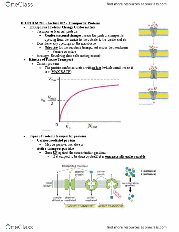 BIOCH200 Lecture Notes - Lecture 22: Active Transport, Conformational Change, Atp Hydrolysis thumbnail