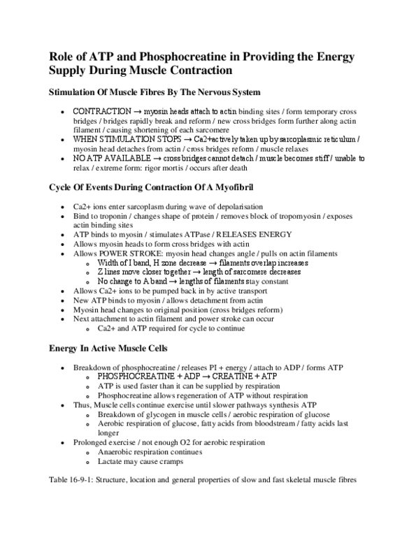 BIOL 1003 Lecture Notes - Cellular Respiration, Myosin Head, Citric Acid Cycle thumbnail