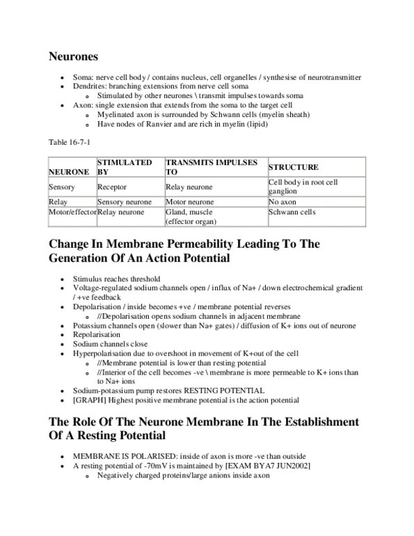 BIOL 1003 Lecture Notes - Schwann Cell, Cumulate Rock, Electrochemical Gradient thumbnail