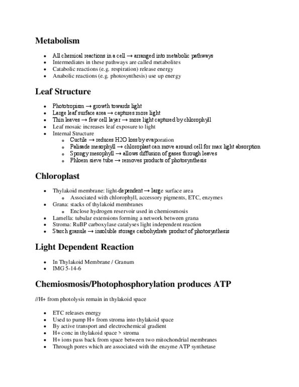 BIOL 1003 Lecture Notes - Light-Dependent Reactions, Active Transport, Photodissociation thumbnail