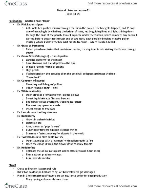 BIOL 1902 Lecture Notes - Lecture 21: Bumblebee, Cornus Canadensis, Asclepias Syriaca thumbnail