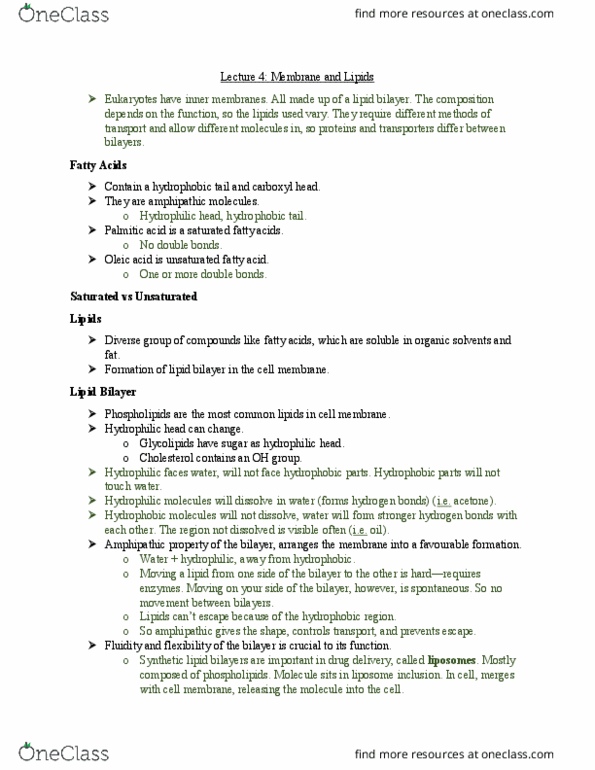 BIOL 2201 Lecture Notes - Lecture 4: Lipid Bilayer, Unsaturated Hydrocarbon, Phospholipid Scramblase thumbnail