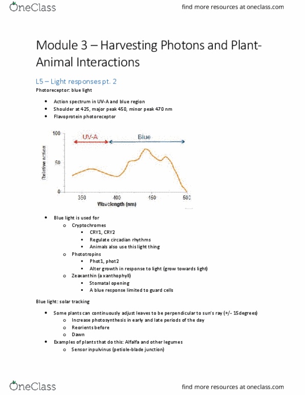 document preview image