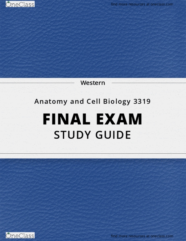 Anatomy and Cell Biology 3319 Lecture 6: [Anatomy and Cell Biology 3319] - Final Exam Guide - Everything you need to know! (152 pages long) thumbnail