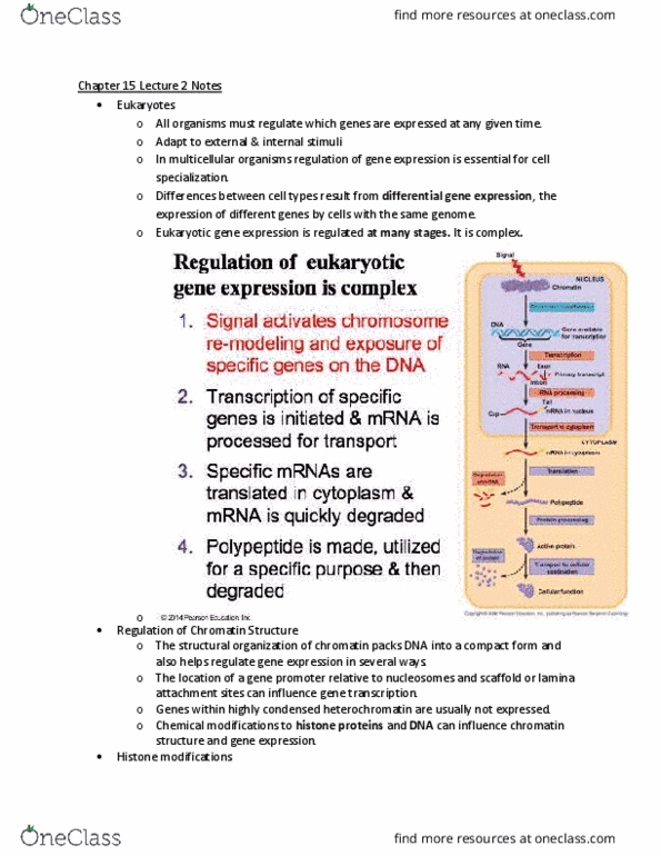 document preview image