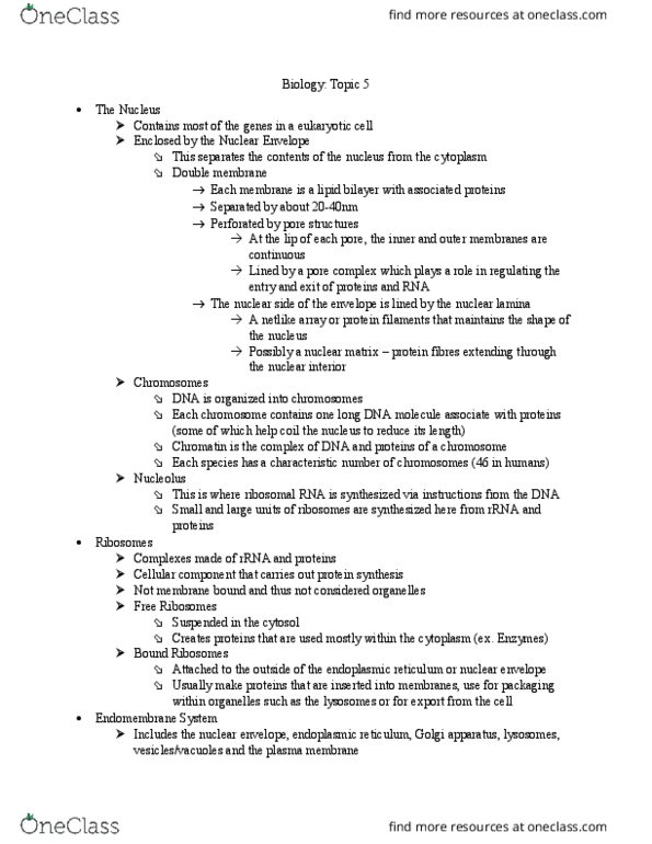 BIOL107 Chapter Notes - Chapter 5: Golgi Apparatus, Nuclear Membrane, Endoplasmic Reticulum thumbnail