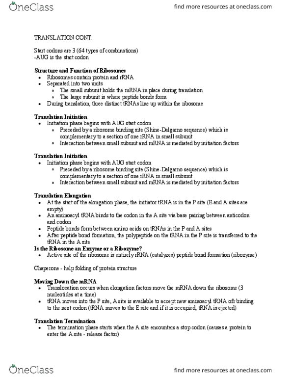 BIOL 1100 Lecture Notes - Lecture 24: Aminoacyl-Trna, Start Codon, Ribozyme thumbnail