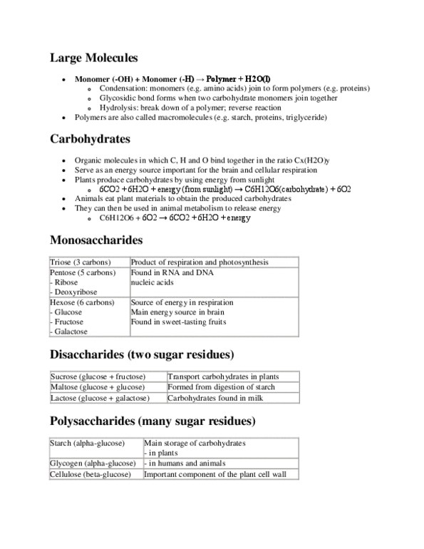 BIOL 1003 Lecture Notes - Deoxyribose, Hexose, Chloroplast thumbnail