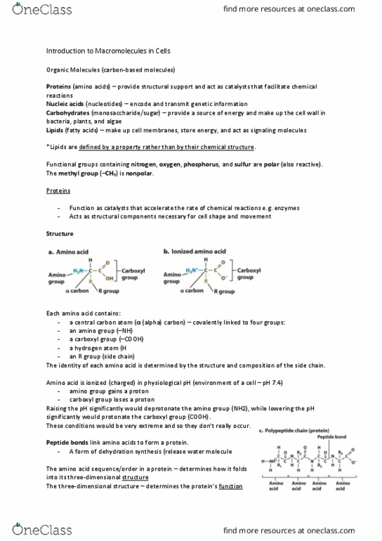 BIOL 112 Chapter Notes - Chapter 2: Methyl Group, Amine, Plant Cell thumbnail