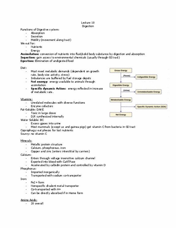 BIO270H1 Lecture Notes - Diverticulum, Atp Hydrolysis, Glucagon thumbnail