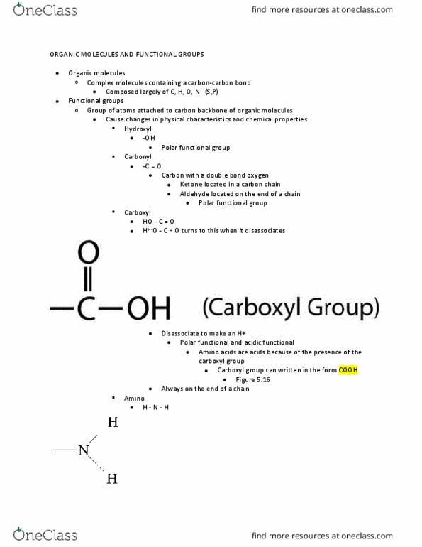 BIOL 1201 Lecture Notes - Lecture 1: Carboxylic Acid, Aldehyde, Ketone thumbnail