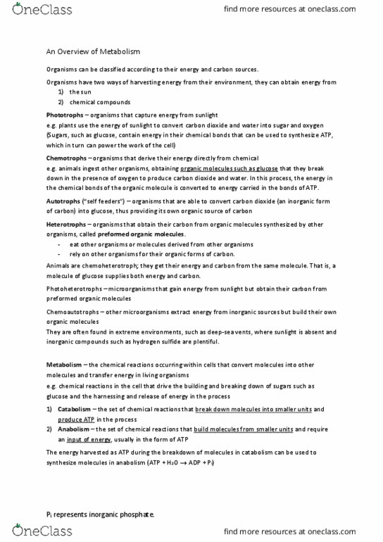 BIOL 112 Chapter Notes - Chapter 6: Adenosine Triphosphate, Adenosine Monophosphate, Phosphate thumbnail