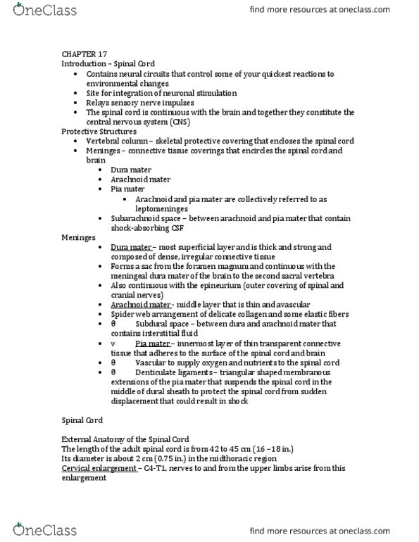 BIOL 2443 Lecture Notes - Lecture 21: Arachnoid Mater, Dura Mater, Pia Mater thumbnail