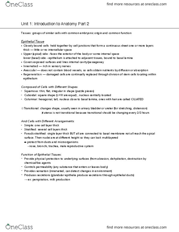 NURS140 Lecture Notes - Lecture 1: Nephron, Bronchus, Macrophage thumbnail