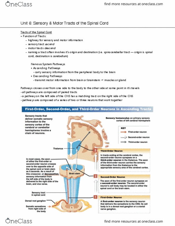 document preview image