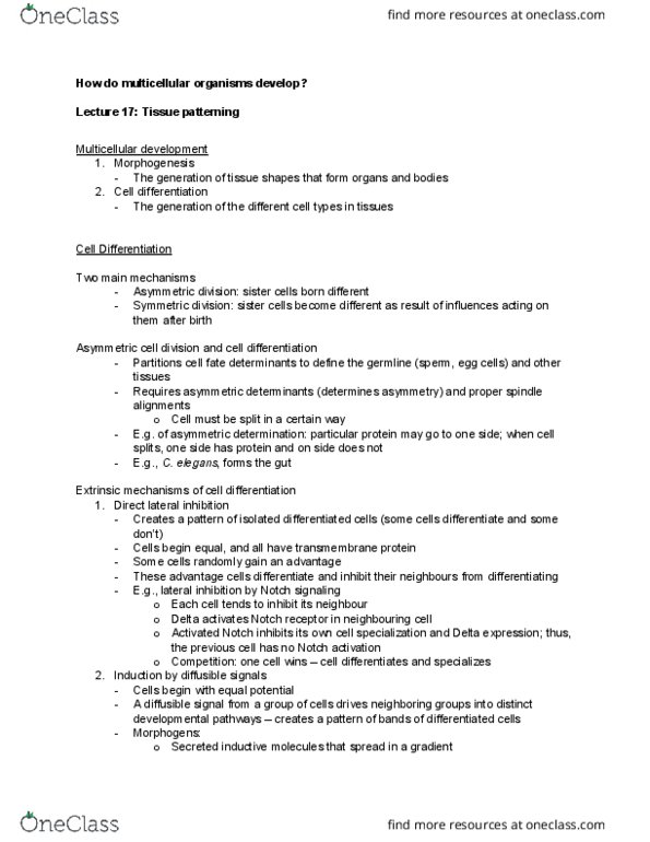 BIO230H1 Lecture Notes - Lecture 17: Notch Signaling Pathway, Morphogen, Sonic Hedgehog thumbnail