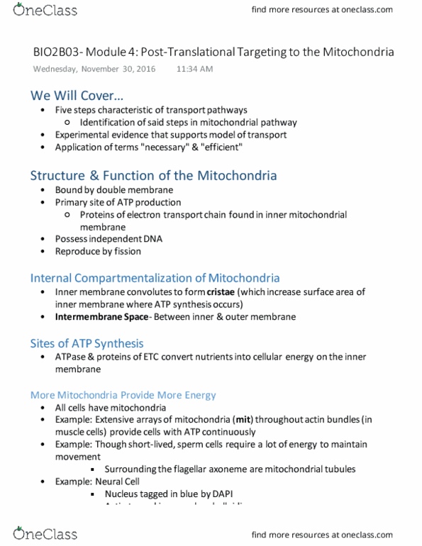 BIOLOGY 2B03 Lecture 4: Post-Translational Targeting to the Mitochondria (Module 4) thumbnail