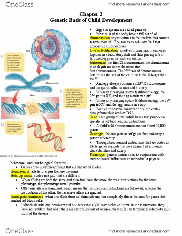 FRHD 2270 Chapter Notes - Chapter 2: In Vitro Fertilisation, Y Chromosome, Allosome thumbnail