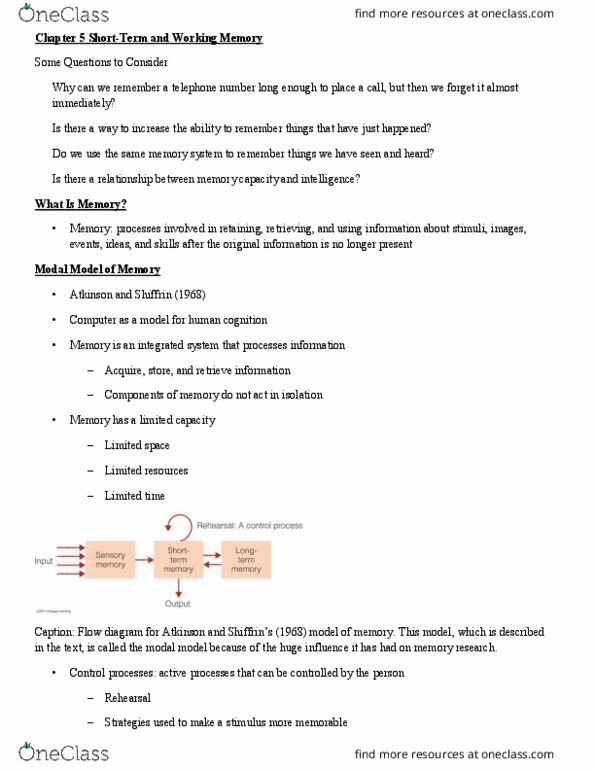 PSYC 3260 Chapter Notes - Chapter 5: Frontal Lobe, Iconic Memory, Flow Diagram thumbnail