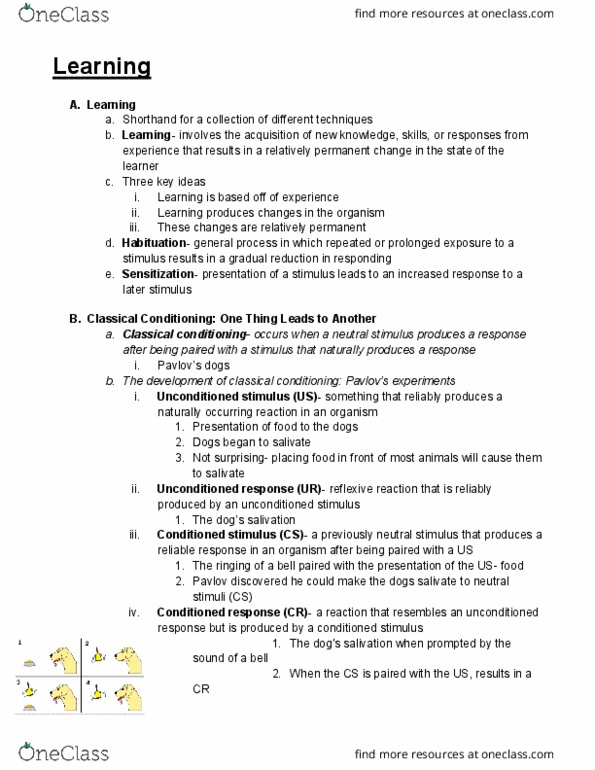 PSYCH 1101 Chapter Notes - Chapter 7: Little Albert Experiment, Critical Role, Enculturation thumbnail