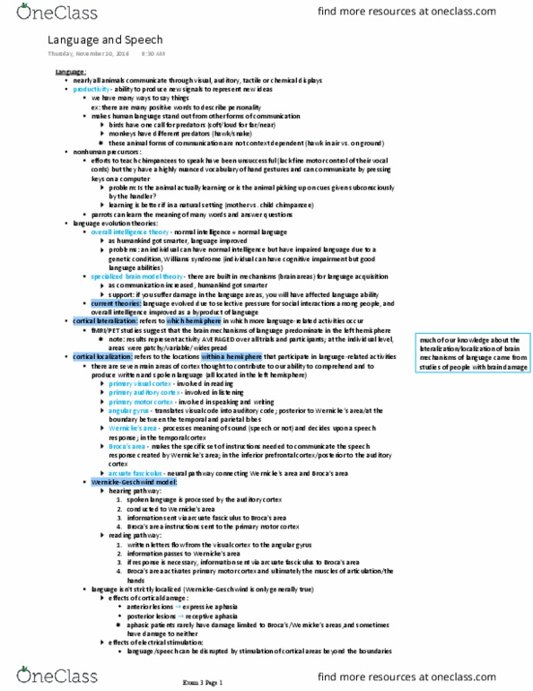 BCS 110 Lecture Notes - Lecture 18: Expressive Aphasia, Angular Gyrus, Temporal Lobe thumbnail