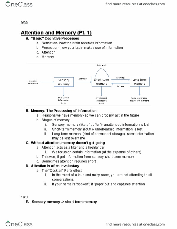 PSYCH 1101 Lecture Notes - Lecture 15: Fokker E.Ii, Amygdala, Sensory Memory thumbnail