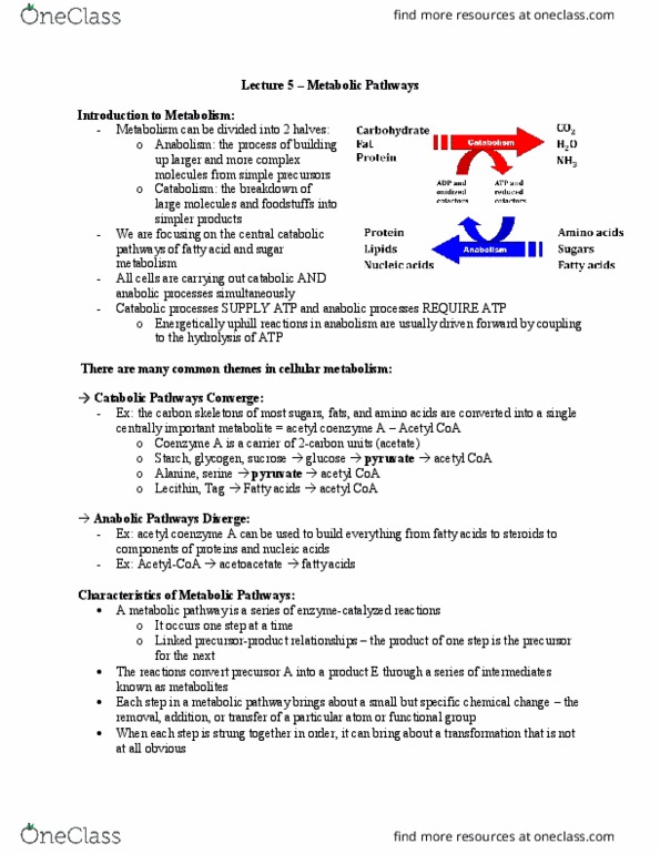 BIOC 2580 Lecture Notes - Lecture 5: Alkaptonuria, Radionuclide, Auxotrophy thumbnail