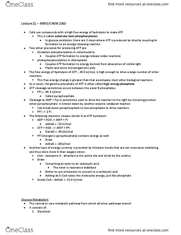 MBIO 2360 Lecture Notes - Lecture 21: Fructose-Bisphosphate Aldolase, Adenine, Adenylate Kinase thumbnail